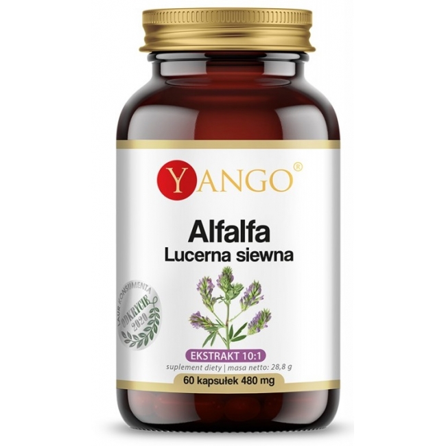 Yango Alfalfa Lucerna siewna 60 kapsułek 