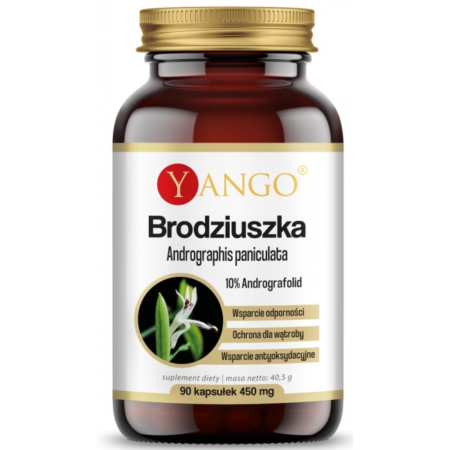 Yango Brodziuszka Andrographis paniculata 90 kapsułek
