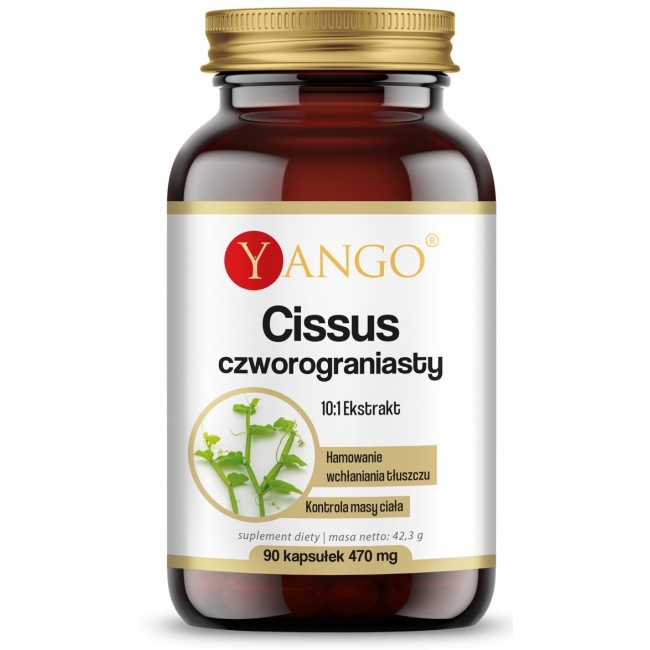 Yango Cissus czworograniasty 90 kapsułek
