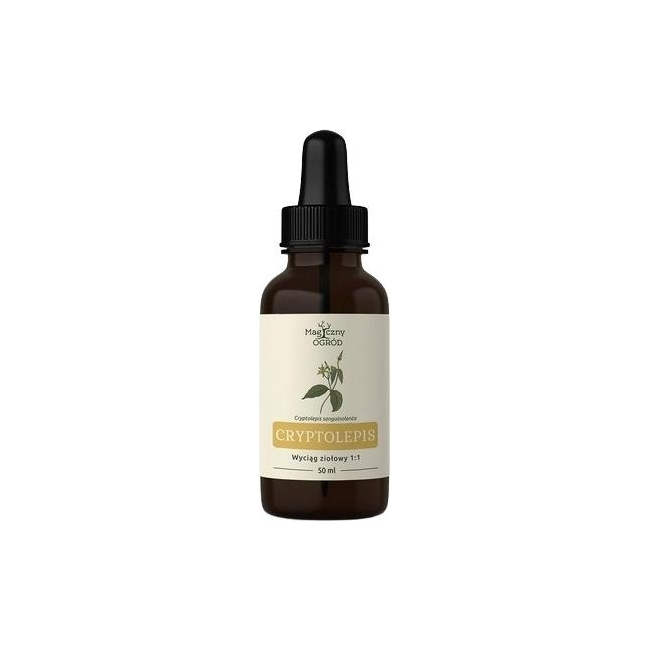 Nanga Cryptolepis 1:1 krople 50ml