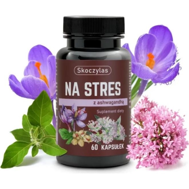Skoczylas Na stres z ashwagandhą 60kapsułek
