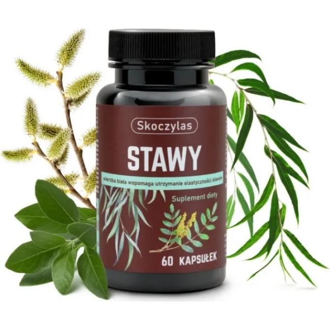 Skoczylas Stawy Kadzidłowiec + Wierzba + Ashwagandha + Sosna 60kapsułek